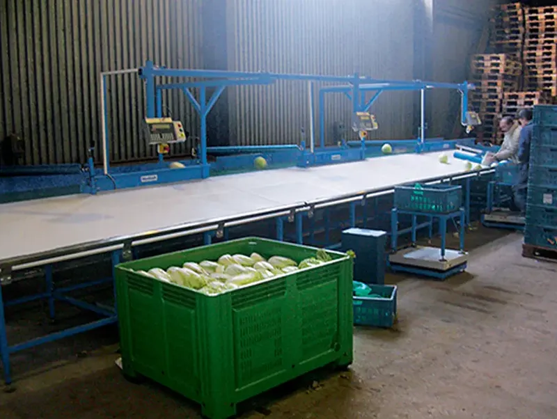 Post-harvest lines – Bluetech installation, photo 3