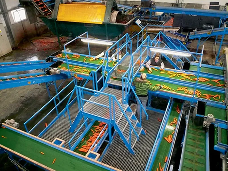 Post-harvest lines – Bluetech installation, photo 5