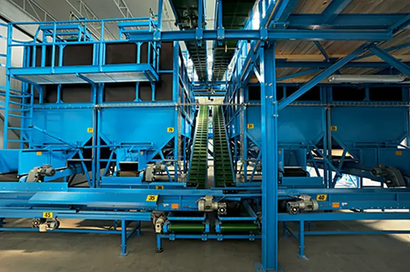 Post-harvest lines – Bluetech installation, photo 14
