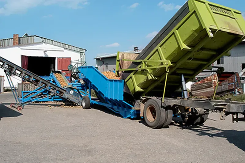 Post-harvest lines – Bluetech installation, photo 19