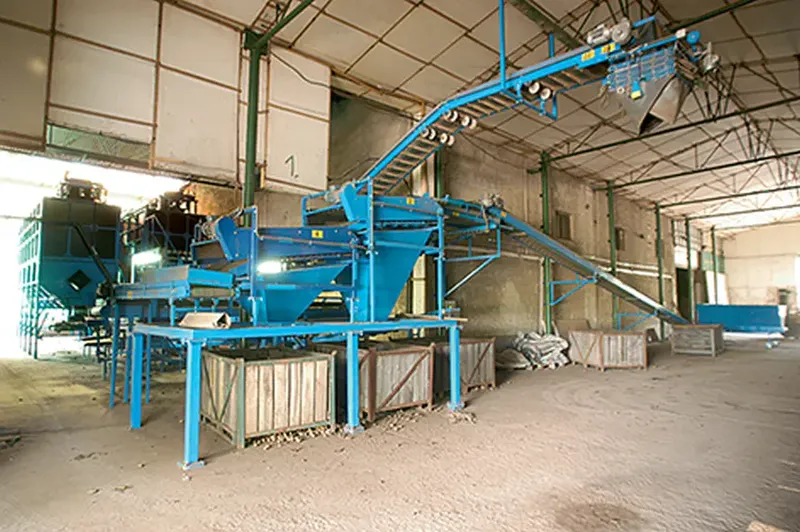 Post-harvest lines – Bluetech installation, photo 21