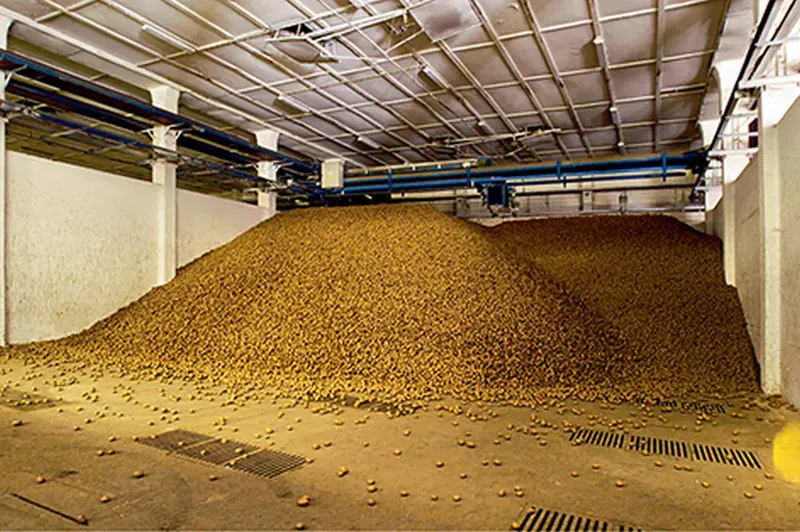 Post-harvest lines – Bluetech installation, photo 22