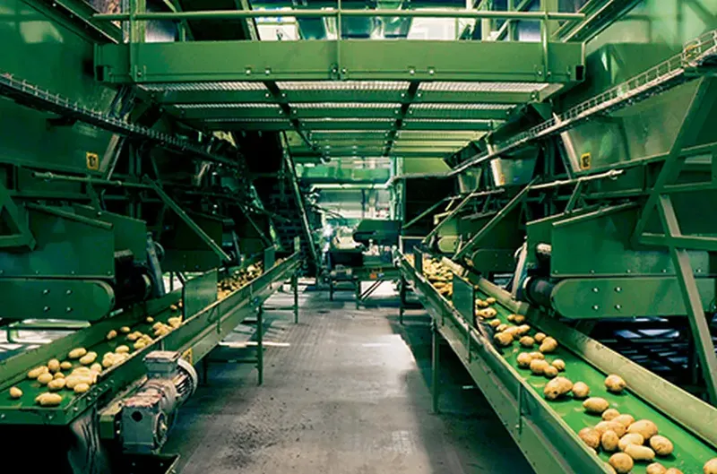 Post-harvest lines – Bluetech installation, photo 23