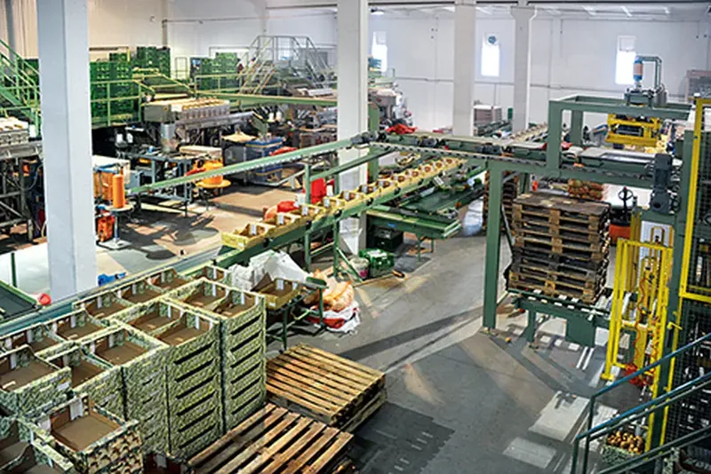 Posklizňové linky – realizace Bluetech, foto 26
