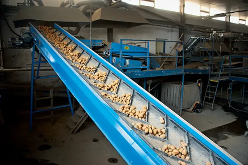 Post-harvest lines – Bluetech installation, photo 40